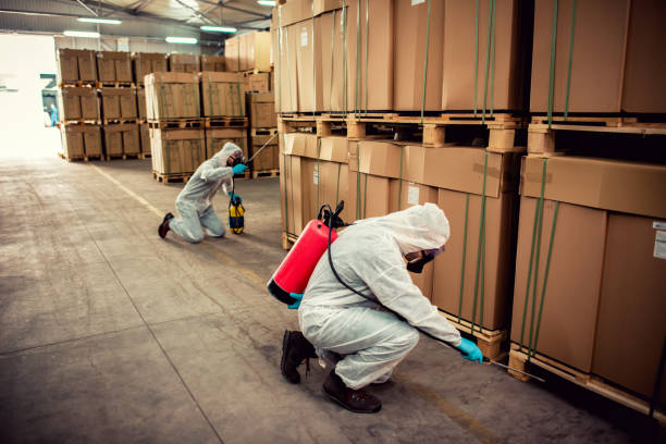 Best Residential Pest Control  in Pleasanton, TX