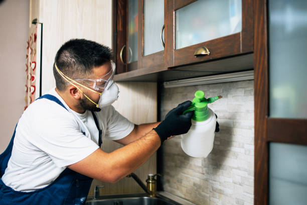 Best Termite Control Services  in Pleasanton, TX