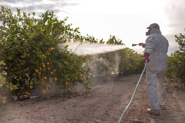 Best Bird Control  in Pleasanton, TX